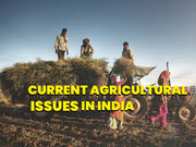  Current Agricultural Issues in India: Challenges and Solutions