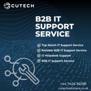 Elevate Your Business Efficiency with B2B IT Support Services