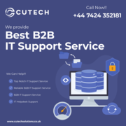 Business Efficiency: The Critical Role of B2B IT Support Services