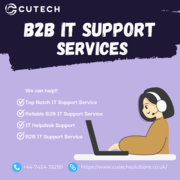 Elevate Your Business with Expert B2B IT Support Services